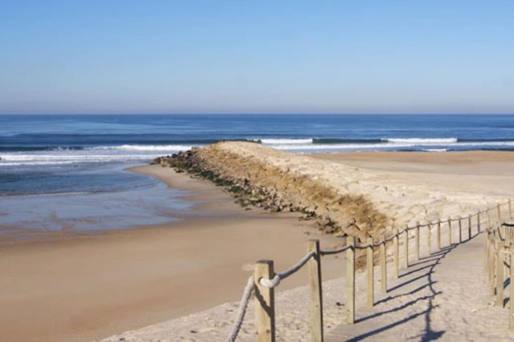 Casa De Praia Acolhedora/ Cosy Beach House Marinha das Ondas Εξωτερικό φωτογραφία